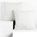 DecoKing Set van 2 kussenslopen 40 x 40 cm