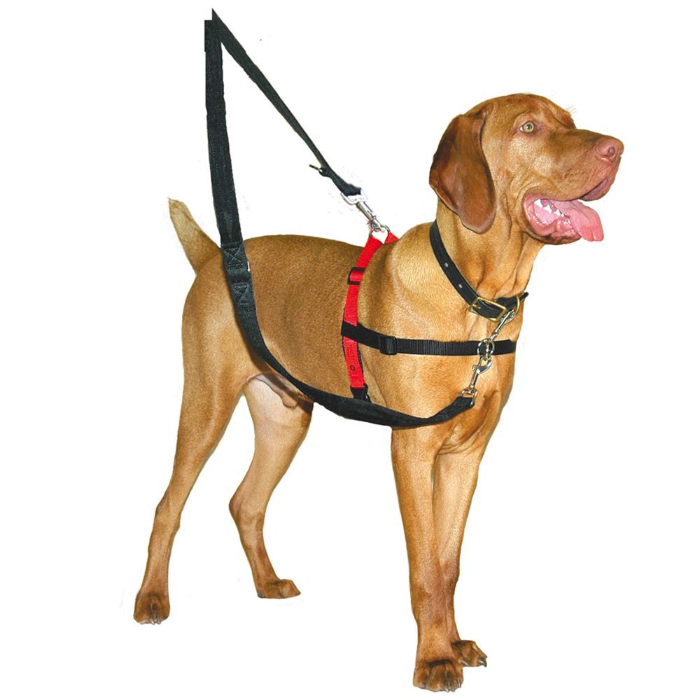 Halti Harnass - Anti trektuigje - Hond - Medium - Borstomvang 60 tot 80 cm – Zwart