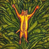 V2 Red Eye Gatos Do Sul