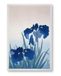 Close Up Ohara Koson Poster | Irises - Iris Flower - Irissen | Ontstaan rond 1925-36 | Japanse vintage poster | Ukiyoe | 61 x 91,5 cm
