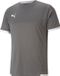 Puma Teamliga Shirt Korte Mouw Kinderen - Grijs / Wit | Maat: 152