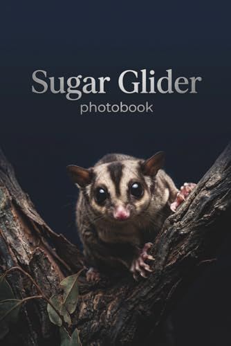Midnight Marsupials: A Premium Sugar Glider Photobook