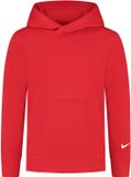 Nike Park 26 Fleece Hoodie Junior - Maat 116