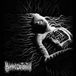 Sonic Rendezvous Human Obliteration Definition Of Insanity (LP)