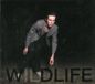 Sonic Rendezvous The Icarus Line - Wildlife (CD)