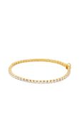 Michael Kors Premium Dames Armband, MKJ8682710