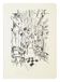 Jacques Herbin 93099T - Notitieboekje Passage des Panoramas - A5-14,8 X 21 cm, gestikt gebrocheerd, 32 gelijnde pagina's, papier 120g ivoor.
