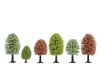 Noch Voorjaarsbomen 5-9cm 25st