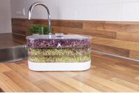 Buzzy Grow Buzzy® Organic Sprouting Tower 3 laags