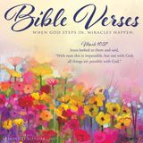 Willow Creek Press Bible Verses 2027 12 X 12 Wall Calendar