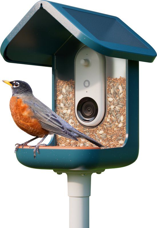 Bird Buddy Smart Bird Feeder Blue with Solar Panel 2.0