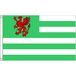 AZ FLAG Wiltshire oud 150x90 cm Polyester 100D