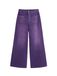 Desigual Broek braam