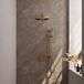 Brauer Gold Carving Thermostatische Regendoucheset Inbouw - Hoofddouche 30 cm - Rechte Wandarm - 3 Weg - Handdouche Rond - Doucheslang - Geintegreerde Glijstang - Geborsteld Goud