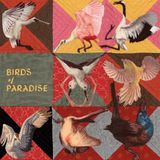 Konkurrent Thomas Dollbaum - Birds Of Paradise (CD)