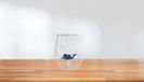 Shenzhen Haorui Industrial Technology Co., Ltd. Verre à boire en cristal