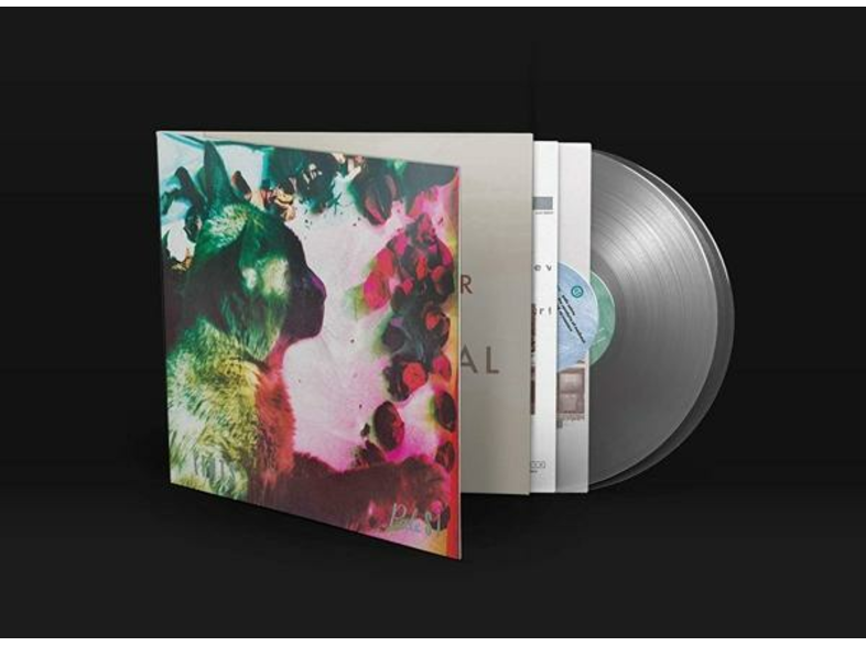 4AD The Pale Saints - COMFORTS OF MADNESS Vinyl