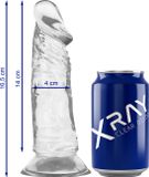 X RAY Xray Clear Cock 16.5 Cm X 4 Cm