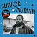 Cool Junior Murvin - Cool Down The Heat (LP)
