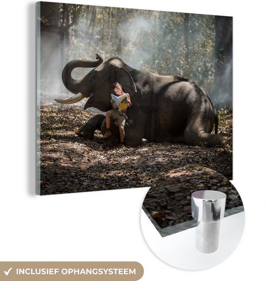MuchoWow® Glass Painting 120x90 cm - Elephant - Boy - Book - Forest - Animals - Nature - Photo on Glass - Paintings