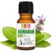Slie Bio Etherische olie 100% Pure 10 ml - Aromatherapie Therapeutisch Cosmetische - Laborbio