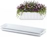 Plasticforte Plantenbak water onder opvangschaal - 2x - wit - rechthoek - 59 x 19 cm