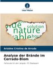 Analyse Verlag Unser Wissen Analyse der Brände im Cerrado-Biom
