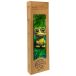 Push Skateboard Enfant Mr Frog FP Incomplete (7.5" - Vert)