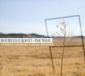 V2 Red Eye Dave Douglas Quintet - Time Travel