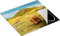 Chefcare Inductie Beschermer Twee Schotse Hooglanders 57,6x51,6 cm