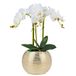Decor Trends Plantenbak 7 Inch Ronde Goud-Tone Metallic Planter Pot Decoratieve Gouden Planter Bowl Vormige Bloem Vazen (Goud)