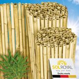 Sol Royal B99 – Premium Bamboe Tuinscherm 100x250 cm Helder Glanzend – Geharde Bamboestokken Ø 2-3cm – Weerbestendige Bamboe Balkonscherm
