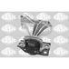 SASIC Support moteur 2706037 Supérieur droit pour NISSAN Qashqai / Qashqai +2 I (J10, NJ10)