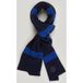 River Woods Stripe Pattern Scarf Blue