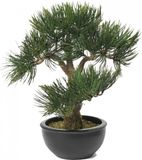 Bellatio Flowers & Plants Kunstplant Bonsai boompje - Pinus Deniflora - kunst kamerplant - 33 cm