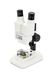 Celestron 44207 CL-S20 Stereo Microscope, 20x Magnification, White