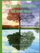 The healing power of trees and power places: "Nature is the best artist, and trees are her masterpieces."