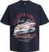 JACK&JONES JORWATERCOLOUR TEE SS CREW NECK TG Heren T-shirts