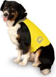 Nightwalk Hofman Animal Care Nightwalk Safety Vest - Geel - Maat L