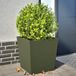 Maison Exclusive - Jardinières, 2 pièces, vert olive, 50x50x50 cm, acier