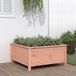 Maison Exclusive - Jardinière en bois de Douglas massif, dimensions 82,5 x 82,5 x 39 cm