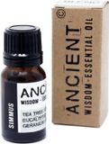 Ancient Wisdom Verkoudheid Etherische Olie Mix - 10ml