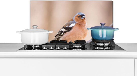 KitchenYeah Spatscherm keuken 70x30 cm - Kookplaat achterwand Vogel - Aluminium