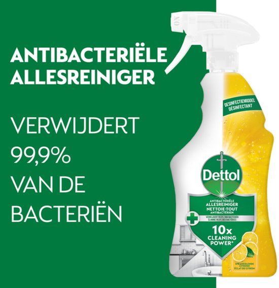 Dettol Allesreiniger Spray Power & Fresh - Citrus - 500 ml