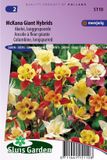 Sluis Garden Akelei McKana Giant Hybrids Bloemzaden - Kleurenmix