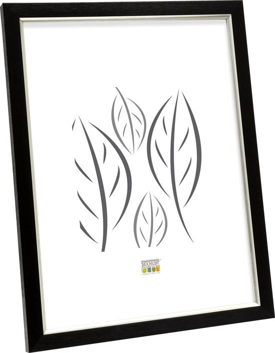 Deknudt Frames fotolijst S46AF2 - zwart met zilverkleurig biesje - foto 15x20 cm