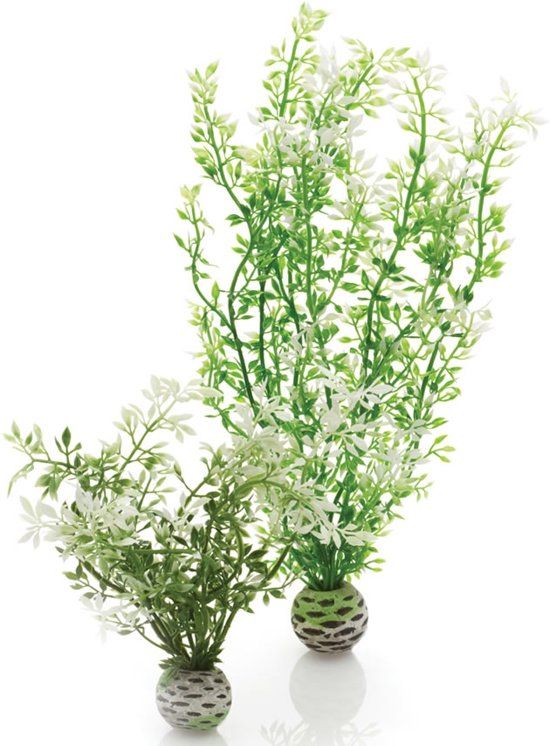 biOrb winterbloem - middel