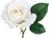 Mica Decorations Kunstbloem roos Emy - wit - 31 cm - kunststof - decoratie bloemen