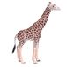 Mojo Fun Girafe Mâle