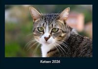 Katzen Vero Kalender Katzen 2026 Fotokalender DIN A4